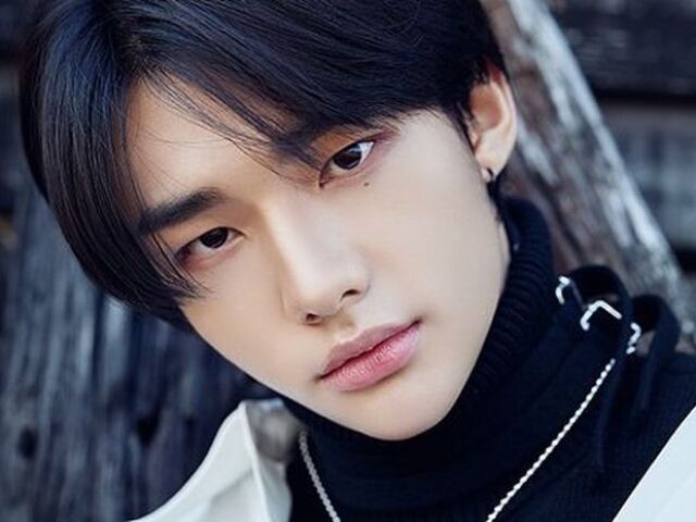 Hyunjin/Stray kids