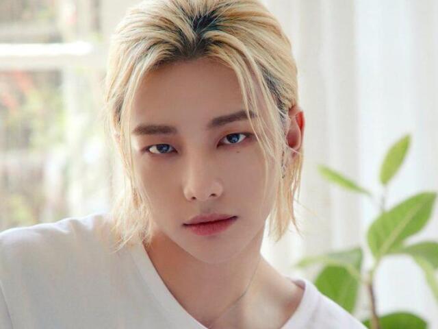 Hyunjin/Stray kids