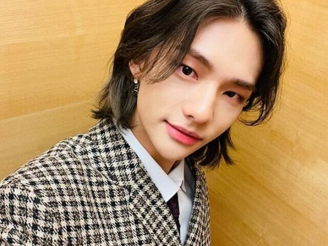 Hyunjin/Stray kids