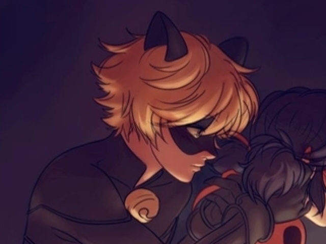 Cat noir