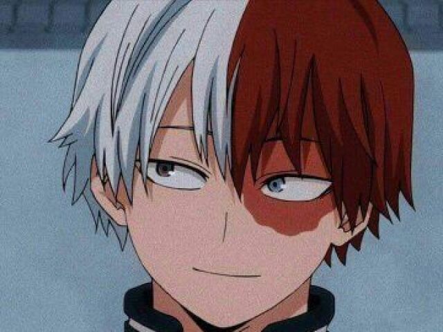 Shoto Todoroki