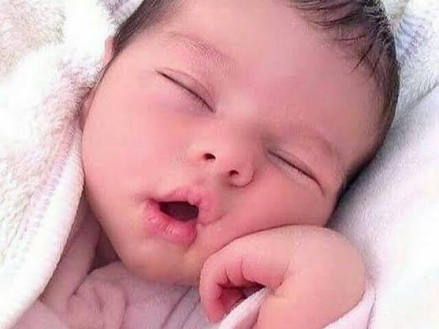 Livia