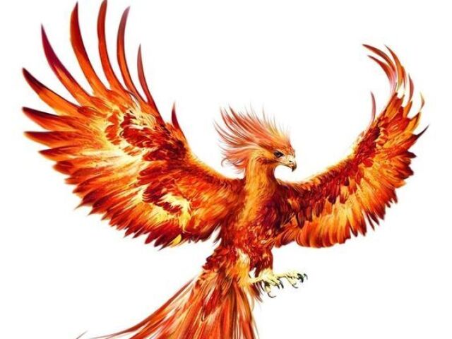 FENIX