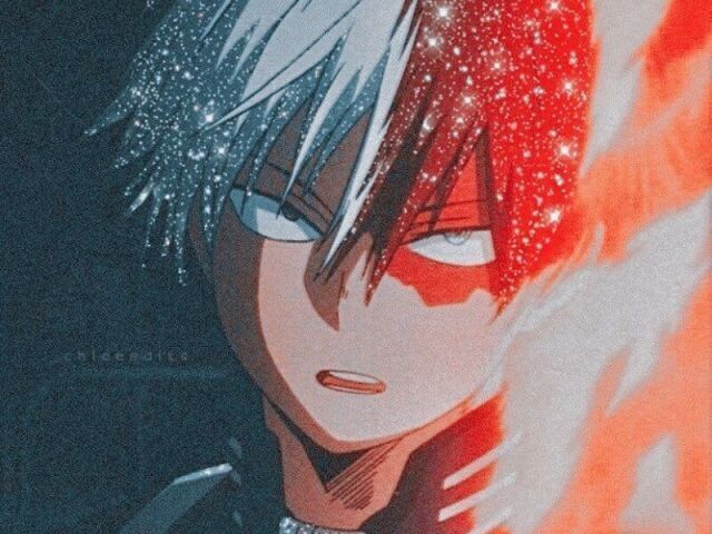 todoroki 😉😊 (E OS FÃS VÃO A LOUCURAA)