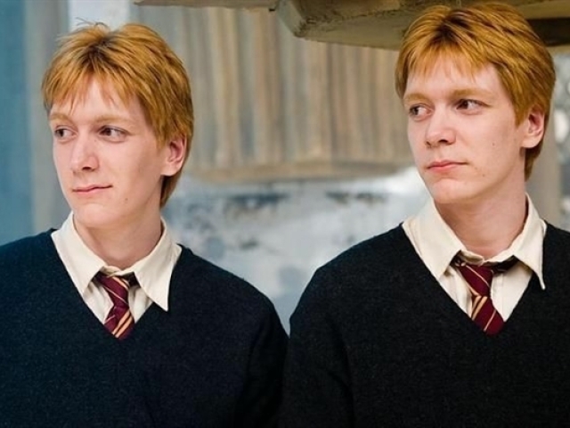 Fred e Jorge Weasley