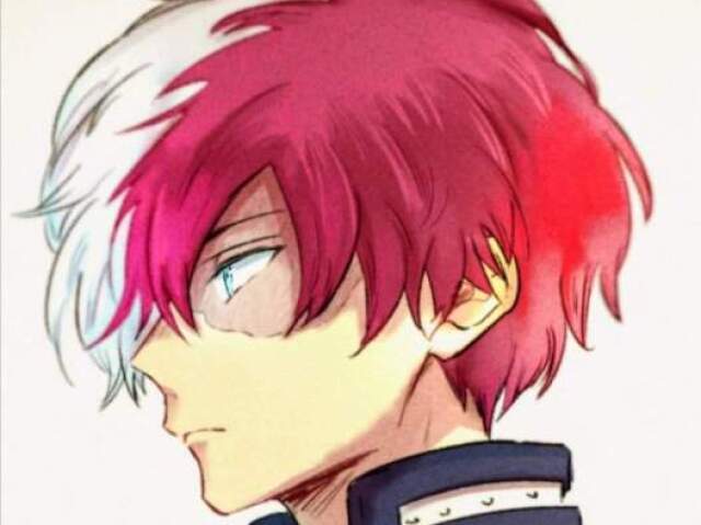 Todoroki Shoto