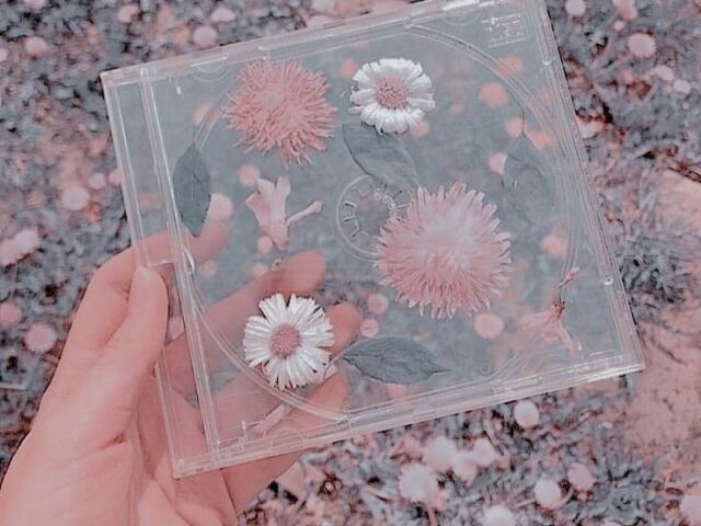 Seu aesthetic é Soft