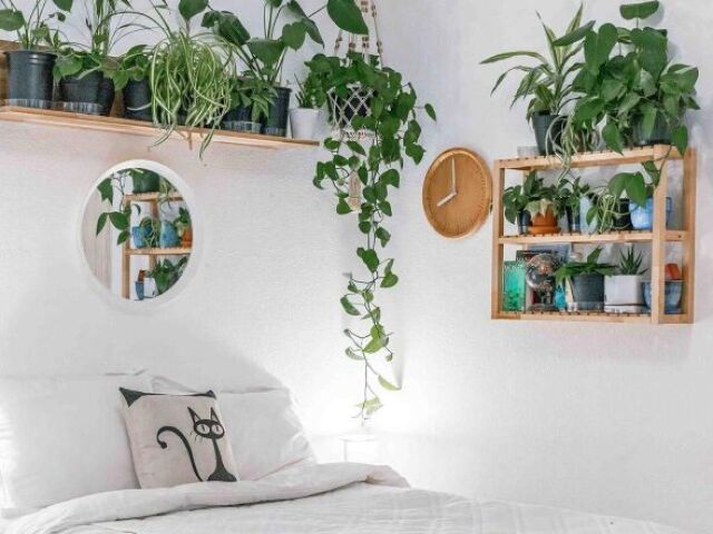 Quarto cheeio de planta! Mas maravilhoso!