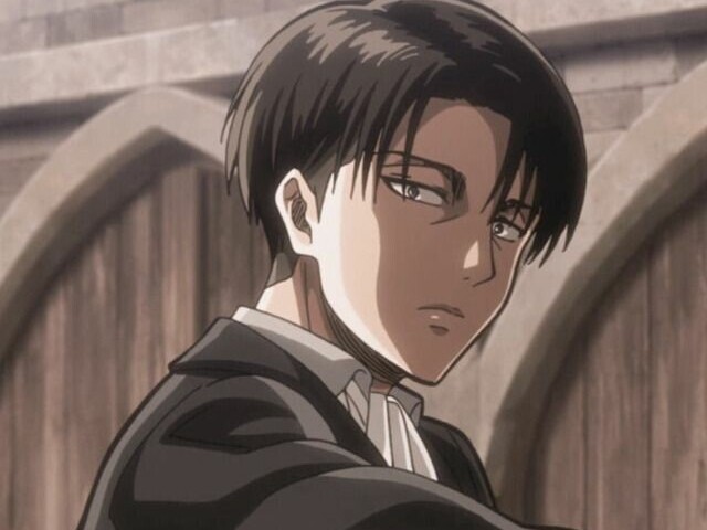 Levi