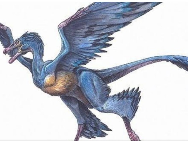 Microraptor