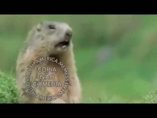 Nhee