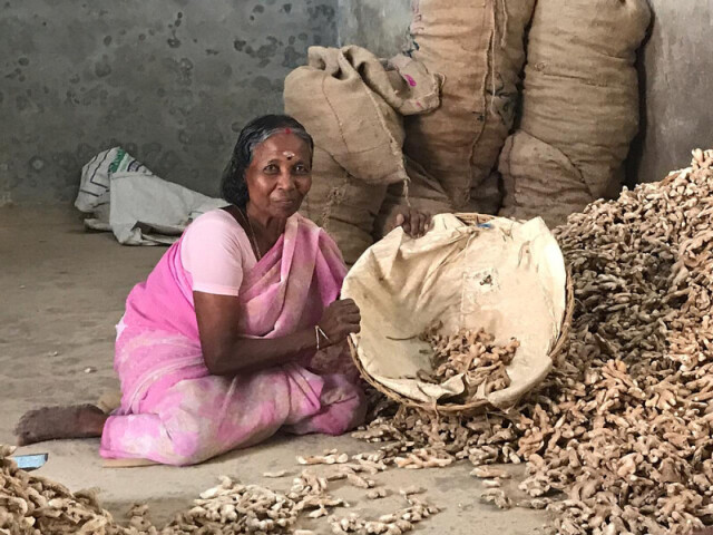 Verdadeiro, somente os indianos têm acesso às especiarias.