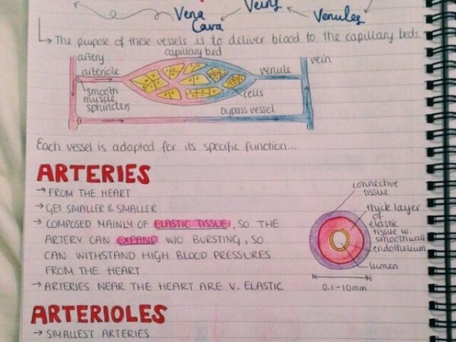 Histologia