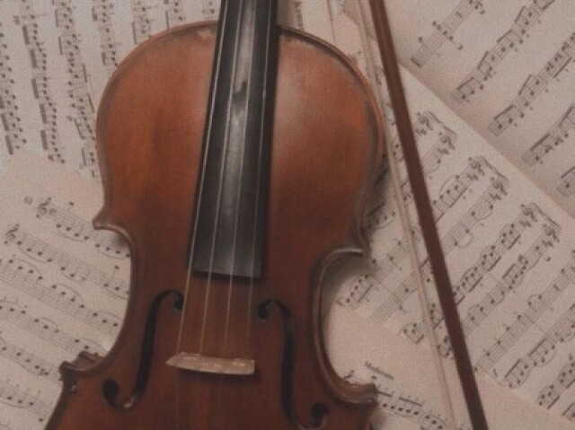 Violino