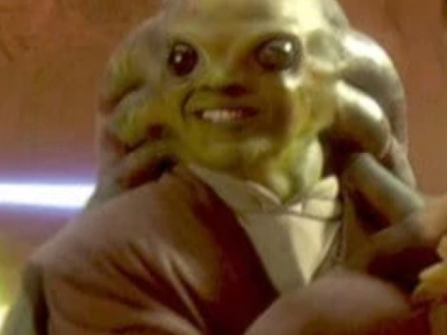 Kit Fisto