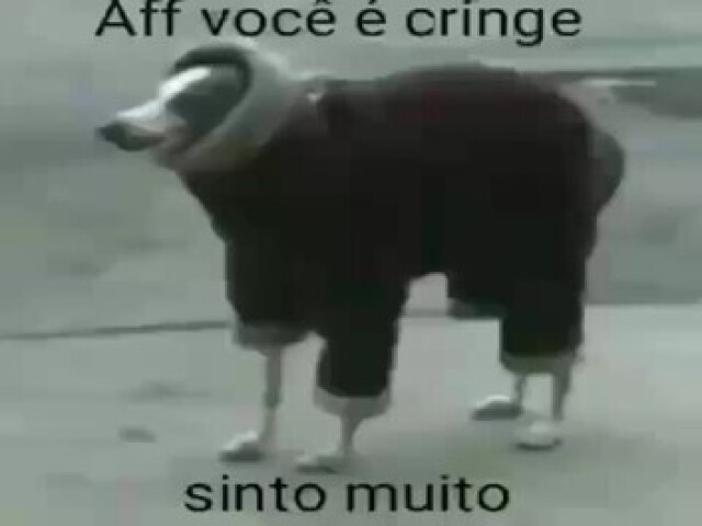 Você é cringe :0