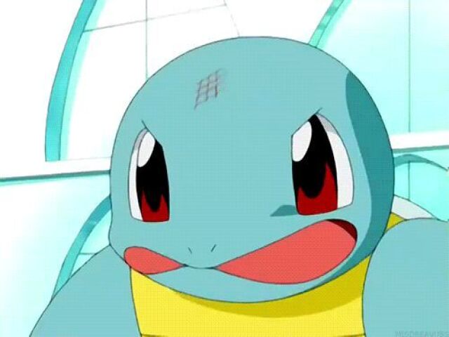 Squirtle 💧