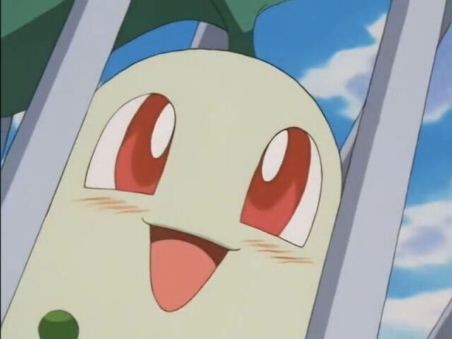 Chikorita 🌱