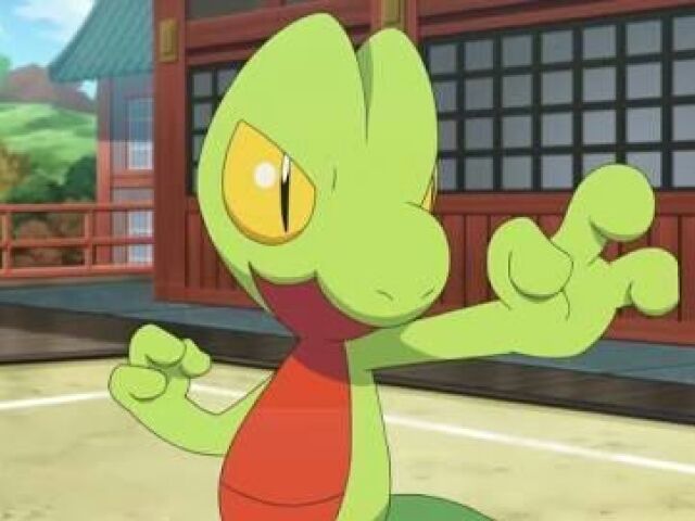 Treecko 🌱