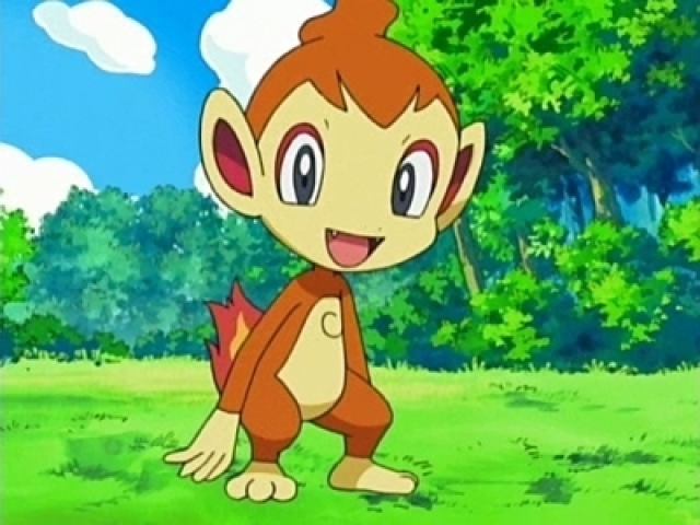 Chimchar 🔥