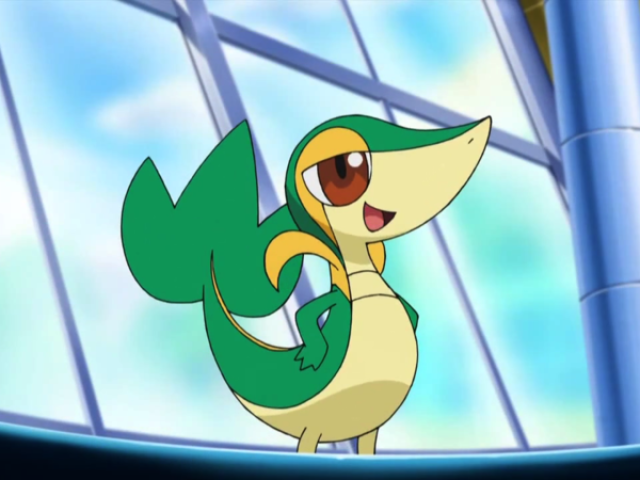 Snivy 🌱
