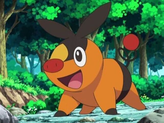 Tepig 🔥