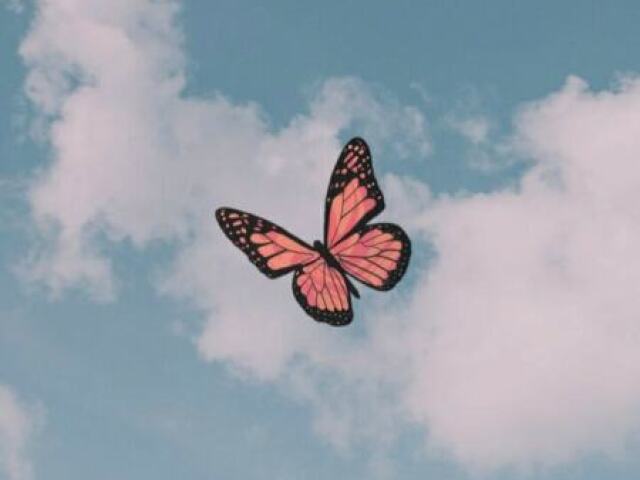 TUMBLR