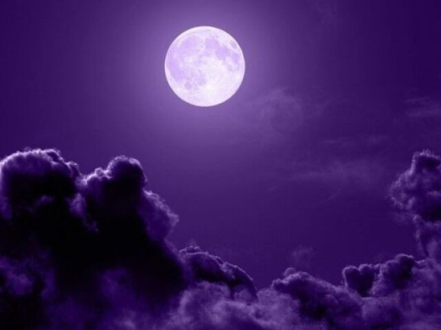 👾🔮Roxo