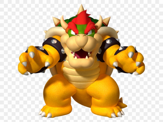 BOWSER