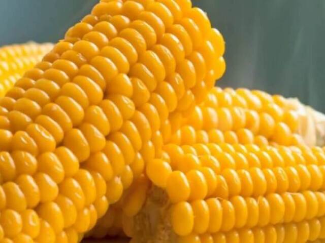 Corn