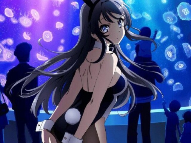 My Bunny girl senpai