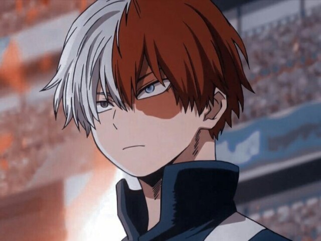 Shoto todoroki 😶