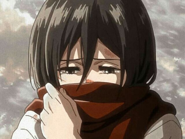 Mikasa