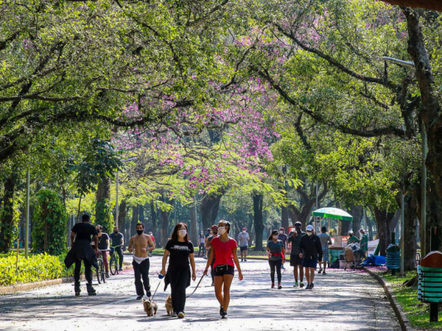 Para ir ao parque, com máscara