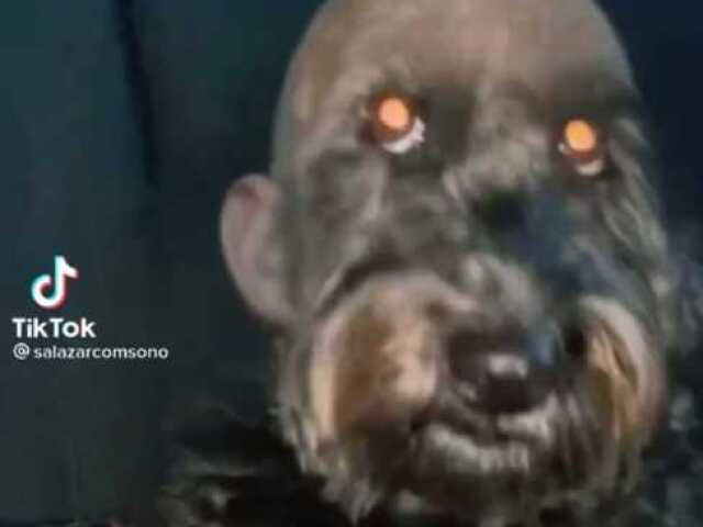 ๐