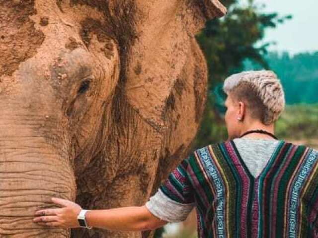 Viajar para cuidar de pessoas e animais.