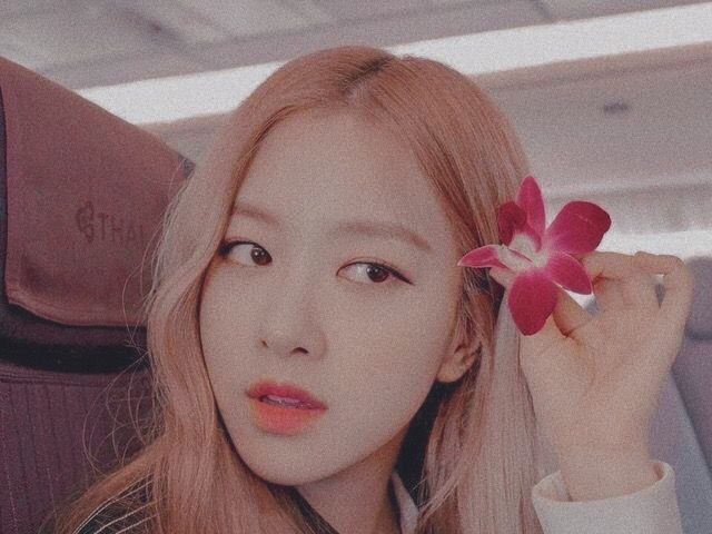 Rosé