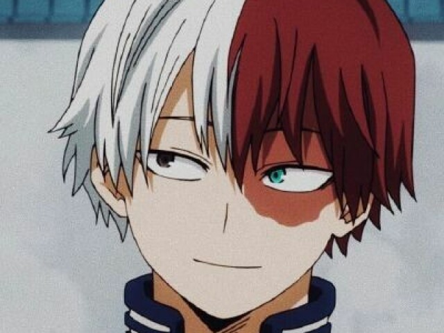 Shoto Todoroki