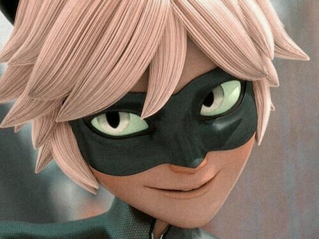 Cat noir