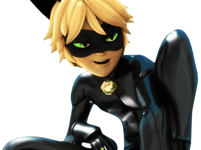 Cat noir