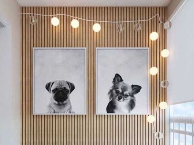 Quadro do meu cachorro com luzinhas em volta.