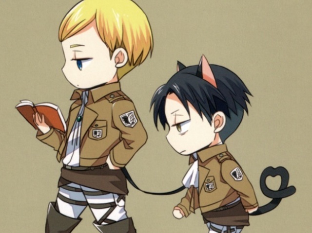 Experiência de ERWIN e Força de LEVI!