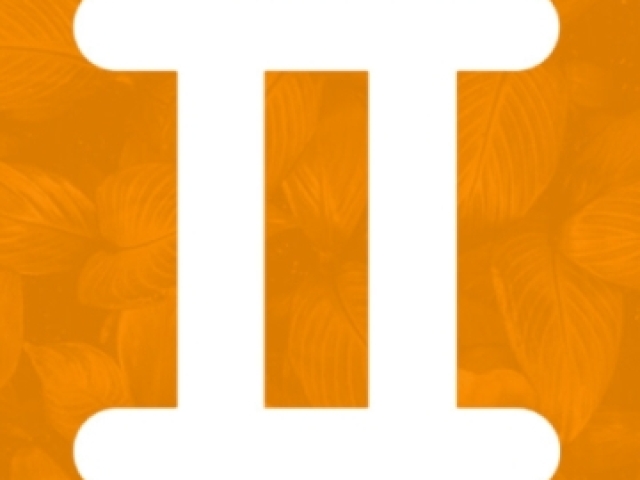 Gêmeos