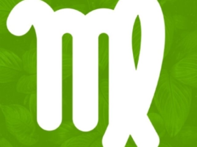 Virgem