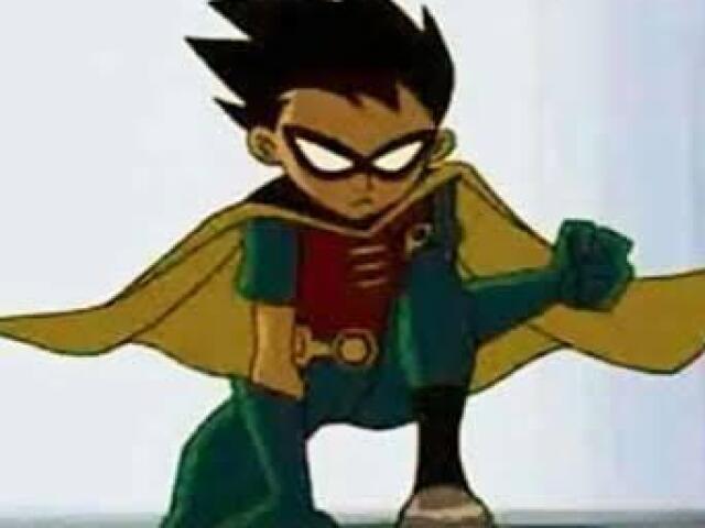 Robin