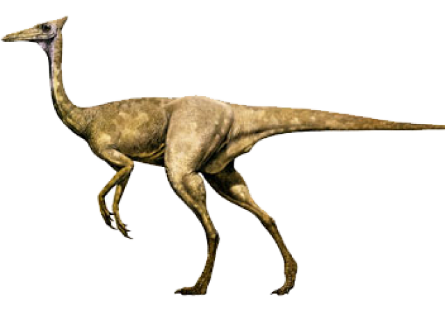 Parabens vc gostou espere áte os dinos raros thau!!