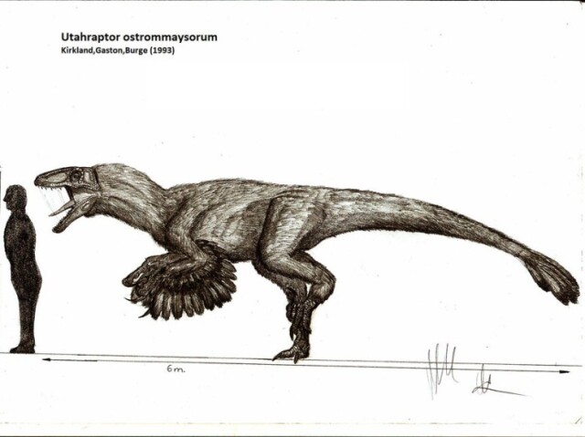 Parabens vc gostou espere áte os dinos raros thau!!