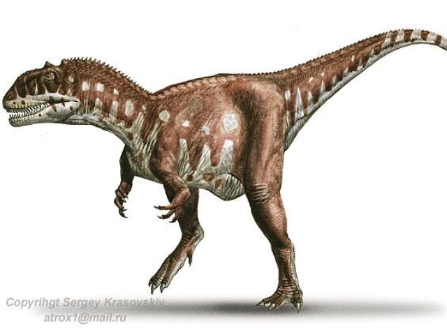 Parabens vc gostou espere áte os dinos raros thau!!