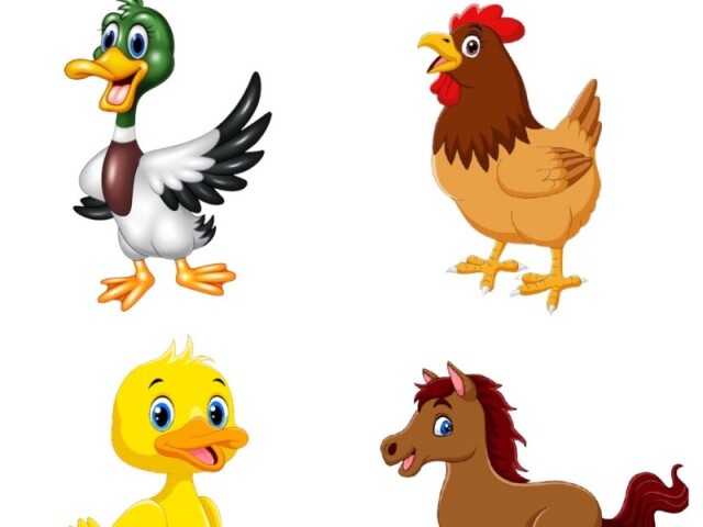 O PATO, A GALINHA, O MARRECO E O CAVALO