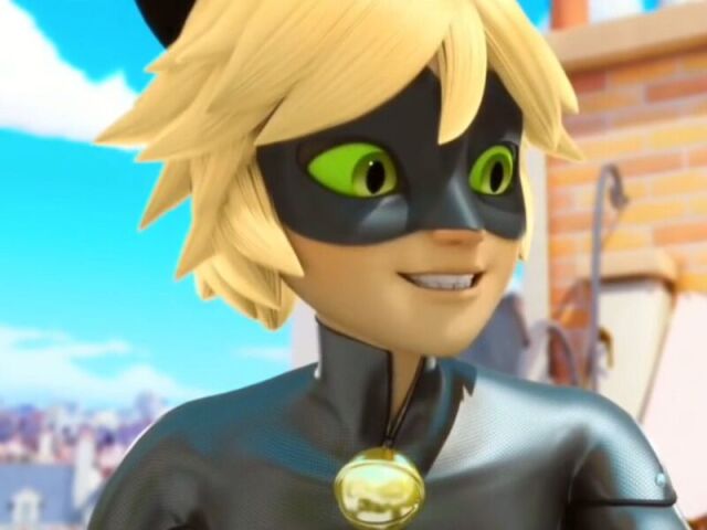 cat noir